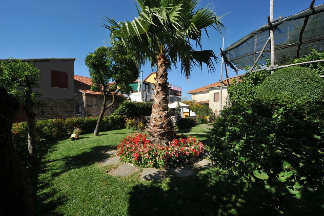 Casa Vacanze Chery Sorrente Extérieur photo